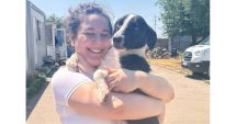 Stire din Social : Happy, un cățel blând și prietenos, și-a găsit stăpâna ideală!