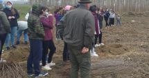 Stire din Politică-Administrație : Primăria Hârşova, sprijin pentru plantarea a 4.000 de plopi în apropierea oraşului