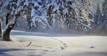 Stire din Social : Vine iarna în România! ANM a emis prognoza meteo actualizată. Cum va fi vremea de 1 Decembrie