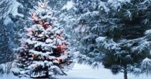 Stire din Social : Cum va fi vremea de Crăciun și de Revelion. Prognoza meteo pentru următoarele patru săptămâni