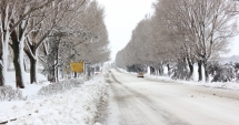 Stire din Social : PROGNOZA METEO pe două săptămâni, la Constanța. Cum va fi vremea de Bobotează și când va ninge