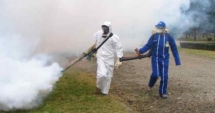 Stire din Economie : Iată ce le recomandă fermierilor Autoritatea Națională Fitosanitară