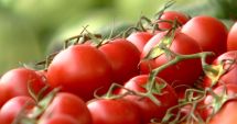 Stire din Economie : Iată ce modificări au fost aduse programului "Tomata"