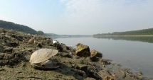 Stire din Social : Dunărea a scăzut cu doi metri la Galați. Mașinile de mare tonaj nu mai pot folosi bacul