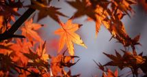 Stire din Social : SE SCHIMBĂ VREMEA! Un val neobișnuit de căldură aduce temperaturi anormal de mari