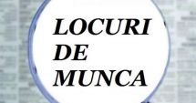 Stire din Social : Mii de locuri de muncă vacante. Șomeri, iată ce se caută!