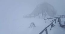 Stire din Eveniment : Ninge de ore bune pe Transfăgărășan! Stratul de zăpadă depășește deja 10 centimetri