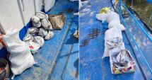 Stire din Eveniment : Peste 300 de kg de pește, fără documente justificative, descoperite de polițiști