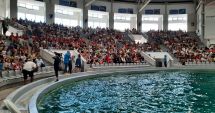 Stire din Social : GALERIE FOTO. SPECTACOL CU SALA PLINĂ, la Delfinariul Constanţa! Are loc prima reprezentaţie cu şase delfini!