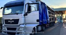 Stire din Eveniment : Trafic restricționat pentru camioane la frontiera Vama Veche