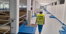 Stire din Social : Controale riguroase ale ITM Constanța. Ce domeniu au verificat luna aceasta inspectorii