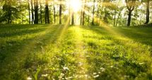 Stire din Social : Cum va fi vremea la malul mării, azi