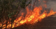 Stire din Monden : Incendii devastatoare în SUA. Zece persoane și-au pierdut viața