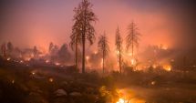 Stire din Actualitate : Incendiu în SUA: 42 de morți,  bilanțul cel mai grav din istoria Californiei