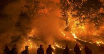 Stire din Actualitate : Incendii în Amazonia. Brazilia acceptă în cele din urmă ajutorul financiar extern