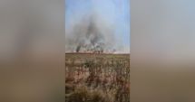 Stire din Eveniment : Trafic dirijat aproape de Babadag, din cauza incendiilor de vegetaţie. Flăcările ameninţă locanicii