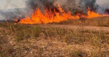 Stire din Eveniment : Zeci de incendii de vegetaţie provocate de oameni, pe câmpuri. Ce amenzi riscă sătenii