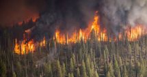 Stire din Actualitate : Peste 1 milion de hectare, mistuite de incendiile forestiere active în Siberia