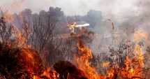 Stire din Actualitate : Incendiul care a îngrozit Spania: 13 persoane și-au pierdut viața, identificate prin teste ADN