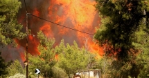Stire din Actualitate : Stare de alertă în Grecia. Incendiile fac ravagii