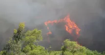 Stire din Actualitate : Incendiile de vegetație continuă să se extindă în Spania