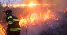 Stire din Eveniment : Incendiu de proporții în Dobrogea. Focul, extins pe o suprafață de 80 de hectare!