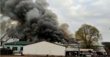 Stire din Eveniment : Incendiu de proporţii, pe o suprafaţă de 1.000 de metri pătraţi, la o fabrică de mezeluri din Olt