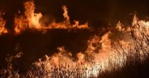 Incendiu de vegetaţie în Delta Dunării, în apropiere de Sulina. Pompierii au intervenit rapid