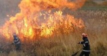 Stire din Eveniment : Incendiu de proporții în localitatea Aliman. Au ars 80 ha de vegetație uscată și stuf