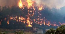 Stire din Eveniment : Un incendiu devastator arde hectare întregi de pădure! Intervenție extremă, inclusiv cu elicopterul