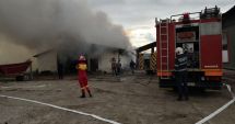 Stire din Eveniment : Incendiu la un grajd de animale, la Poarta Albă. Sute de oi au ars de vii