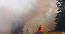 Stire din Eveniment : Incendiu uriaș de pădure. O mănăstire a fost salvată de pompieri din calea flăcărilor