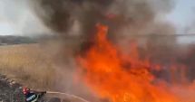 Stire din Eveniment : Incendiu vegetație în localitatea Somova din Tulcea