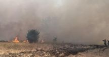 Stire din Eveniment : Mai multe autospeciale de stingere intervin în Mangalia, la un incendiu de vegetație