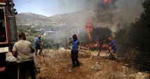 Stire din Actualitate : Incendiu de vegetaţie declanşat lângă Atena. Localnicii, forțați să îşi părăsească locuinţele