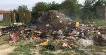 Stire din Eveniment : Flăcările au mistuit deșeurile, la marginea Ciocârliei