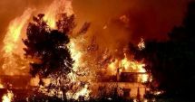 Stire din Actualitate : Victimele din Grecia, identificate cu probele ADN. Martor: "N-au mai găsit nici oasele femeii"