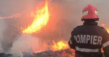 Stire din Eveniment : Incendiu devastator. Două persoane rănite după ce o hală și un grajd au fost cuprinse de flăcări