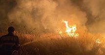 Stire din Eveniment : Incendiu uriaș la Grindul Lupilor. Au ars 300 de hectare de stuf și vegetație