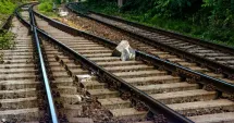 Stire din Eveniment : Incident feroviar grav la Constanța. Un obiect amplasat pe calea ferată a afectat circulația trenurilor