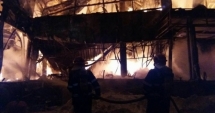 Stire din Eveniment : Vedetă scăpată din infernul de la Bamboo: "Sunt încă șocată și mă rog la Dumnezeu să nu existe victime"