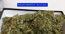 Stire din Eveniment : Captură impresionantă a DIICOT: 17 kg de canabis aduse în țară pentru a fi comercializate pe litoral