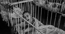 Stire din Eveniment : Denunț penal după ce aproape 500 de minori au murit într-un cămin-spital din Dâmbovița
