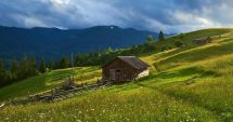 Stire din Economie : INFO economic