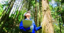 Stire din Economie : Afaceri, împăduriri, recrutare personal. INFO economic