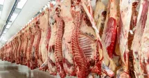 Stire din Economie : Bursă, producție de carne, energie. INFO economic