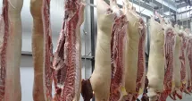 Stire din Economie : Asigurări, producție de carne, finanțări. INFO economic