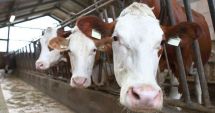 Stire din Economie : Asigurări, agricultură, energie. INFO economic
