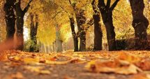 Stire din Social : ANM a anunțat prognoza METEO. Cum va fi vremea în Dobrogea până la începutul lunii noiembrie