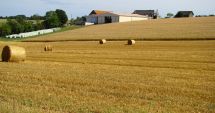 Stire din Economie : În iunie va fi lansat un program de investiţii în agricultură